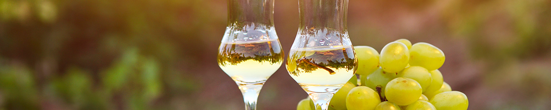 Grappa Grappa