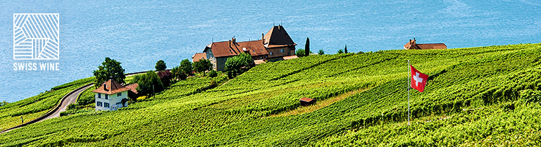 Premium Selection Nr.1 Swiss Selection