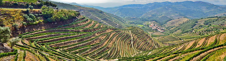 Quinta do Vale Meão