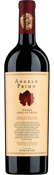 2022 Angelo Primo Nero di Troia Puglia IGP Cantine Paradiso 750