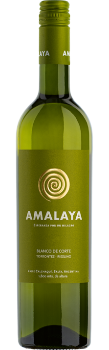 2023 Blanco de Corte Valle Calchaquí Bodega Amalaya 750