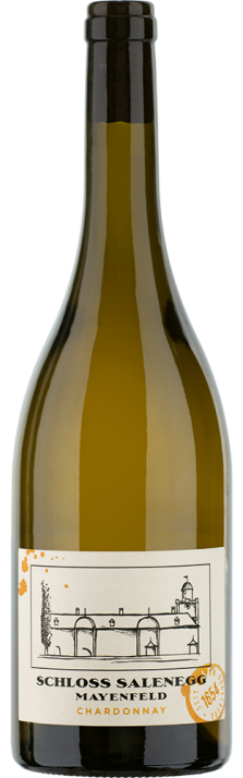 2021 Mayenfelder Chardonnay Graubünden AOC Schloss Salenegg 750