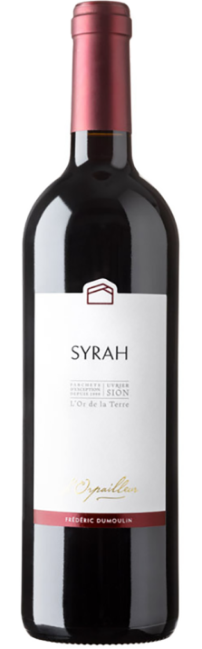 2022 Syrah Valais AOC L'Orpailleur - Frédéric Dumoulin 750