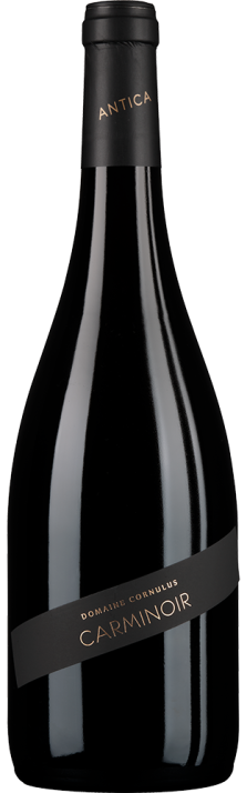 2023 Carminoir Antica Valais AOC Domaine Cornulus 750