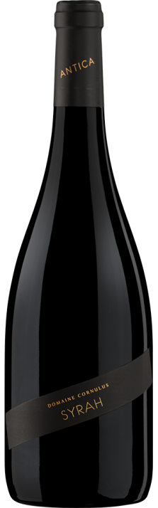 2022 Syrah Antica Valais AOC Domaine Cornulus 750