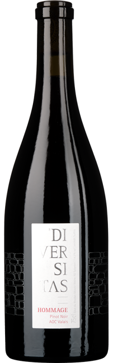 2022 Diversitas Hommage Pinot Noir Valais AOC Cave du Rhodan 750