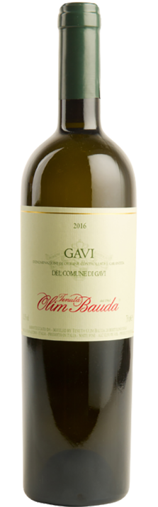 2022 Gavi DOCG di Gavi Tenuta Olim Bauda 750