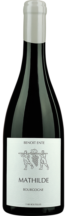2023 Bourgogne AOC Mathilde Benoît Ente 750