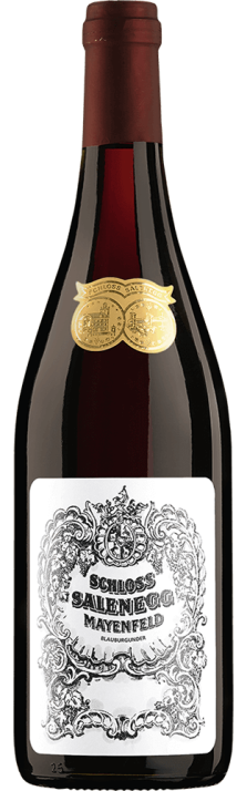 2019 Mayenfelder Blauburgunder Graubünden AOC Schloss Salenegg 750