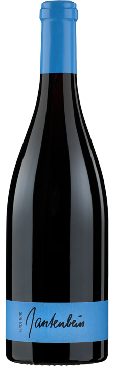 2023 Fläscher Pinot Noir Graubünden AOC Gantenbein 750