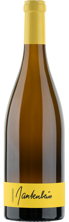 2023 Fläscher Chardonnay Graubünden AOC Gantenbein 750
