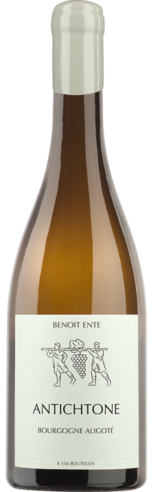 2023 Bourgogne Aligoté AOC Antichtone Benoît Ente 750