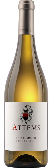 2024 Pinot Grigio Friuli DOC Conti Attems 750