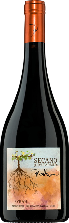 2020 Syrah Secano Marchigue Valle de Colchagua Viña Polkura 750