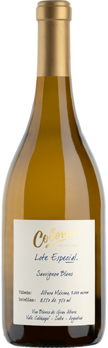 2020 Sauvignon Blanc Lote Especial Altura Máxima Valle Calchaquí Bodega Colomé 750.00