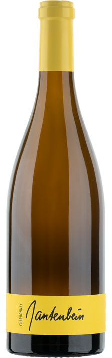 2022 Fläscher Chardonnay Graubünden AOC Gantenbein 750.00