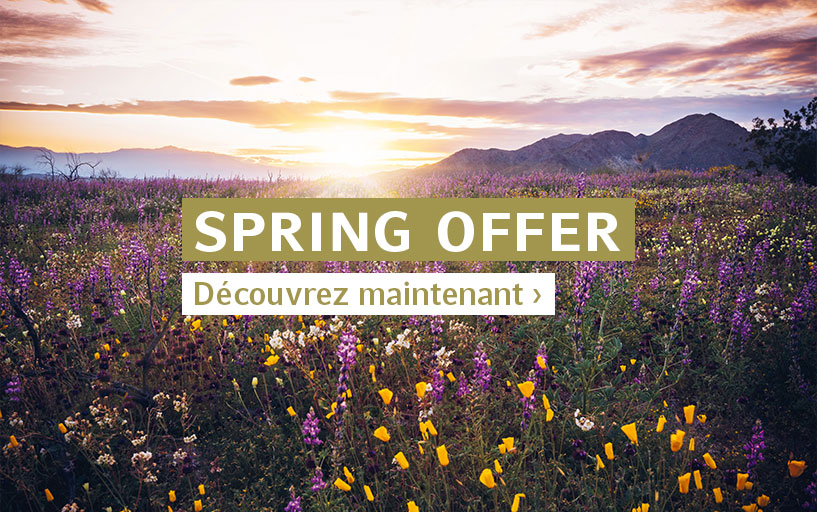 Spring Offer