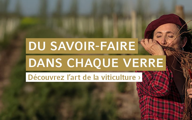 Du savoir-faire dans chaque verre