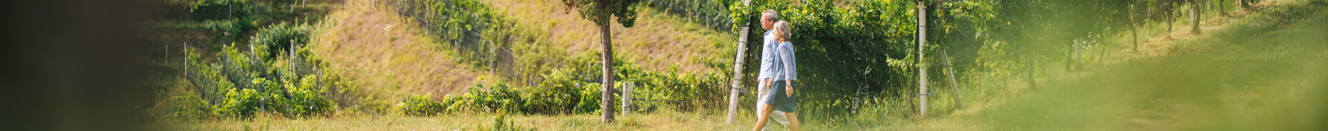 Le tour du monde des vins Le tour du monde des vins