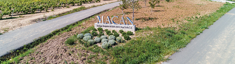 Macán - Vega Sicilia