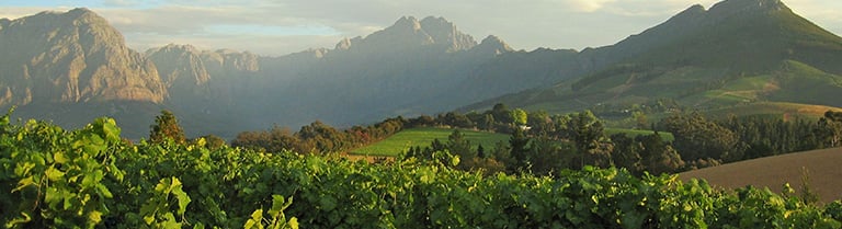 Wildeberg Wines