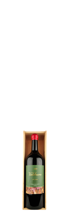 2016 Valduero Crianza Ribera del Duero DO Bodegas Valduero 3000