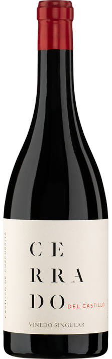 2019 Cerrado del Castillo Rioja DOCa Castillo de Cuzcurrita 750
