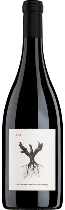 2021 Psi Ribera del Duero DO Bodegas y Viñedos Alnardo 750