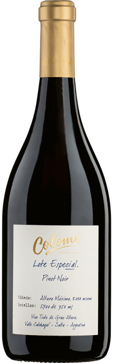 2019 Pinot Noir Lote Especial Altura Máxima Valle Calchaquí Bodega Colomé 750