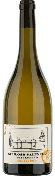 2021 Mayenfelder Chardonnay Graubünden AOC Schloss Salenegg 750