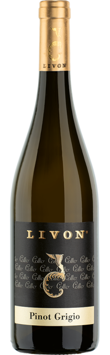 2022 Pinot Grigio Collio DOC Azienda Livon 750