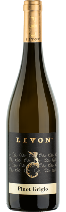 2023 Pinot Grigio Collio DOC Azienda Livon 750