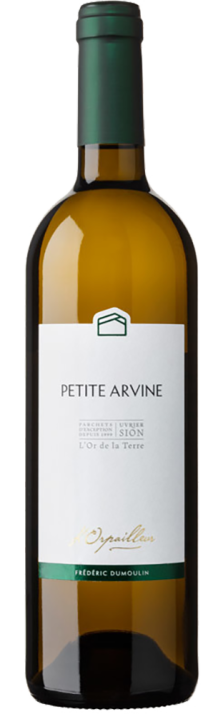 2023 Petite Arvine Valais AOC L'Orpailleur - Frédéric Dumoulin 750