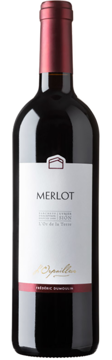 2023 Merlot Valais AOC L'Orpailleur - Frédéric Dumoulin 750