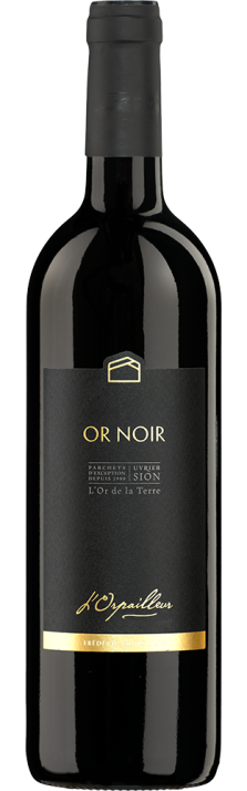 2021 Or Noir Valais AOC L'Orpailleur - Frédéric Dumoulin 750