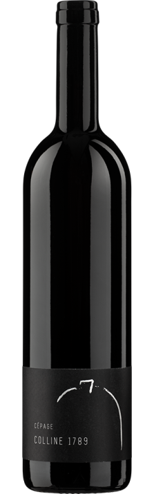 2022 Colline 1789 Gamay Vully AOC Cave et Domaine du Petit Château 750