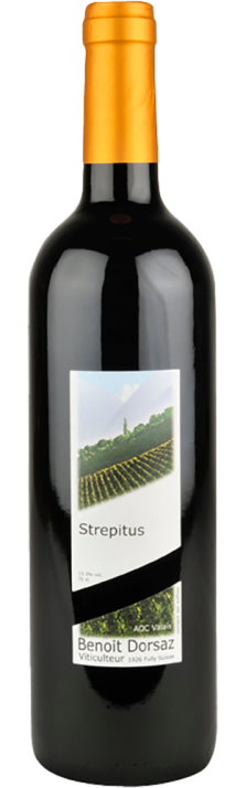2022 Strepitus Valais AOC Benoît Dorsaz 750