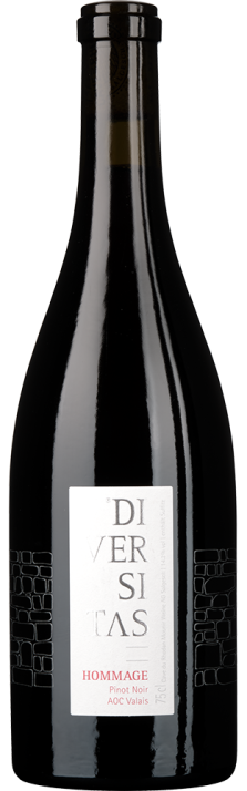 2022 Diversitas Hommage Pinot Noir Valais AOC Cave du Rhodan 750