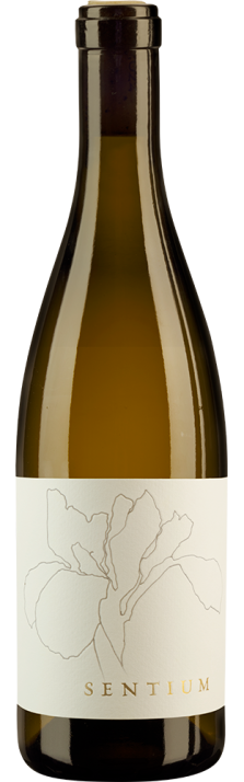 2022 Sentium Sauvignon Blanc Mendocino Sentium Wines 750