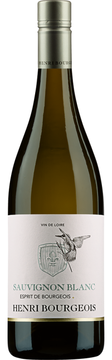 2024 Esprit de Bourgeois Sauvignon Blanc VdP du Val de Loire IGP Henri Bourgeois 750
