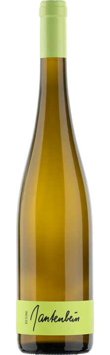 2022 Fläscher Riesling Graubünden AOC Gantenbein 750