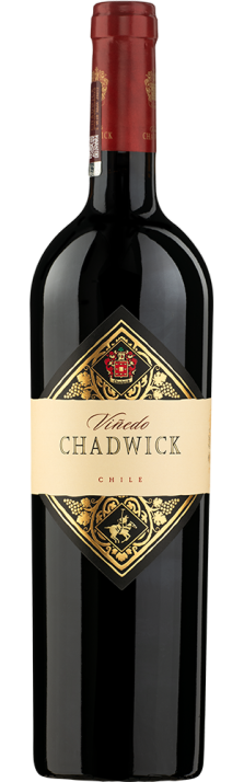 2022 Viñedo Chadwick Puente Alto DO - Valle del Maipo Familia Chadwick 750