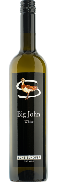 2023 Big John White Burgenland Erich Scheiblhofer 750