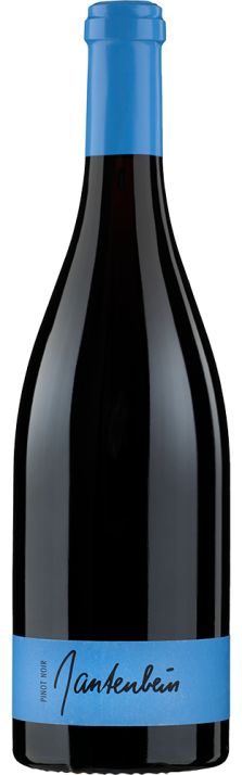 2023 Fläscher Pinot Noir Graubünden AOC Gantenbein 750