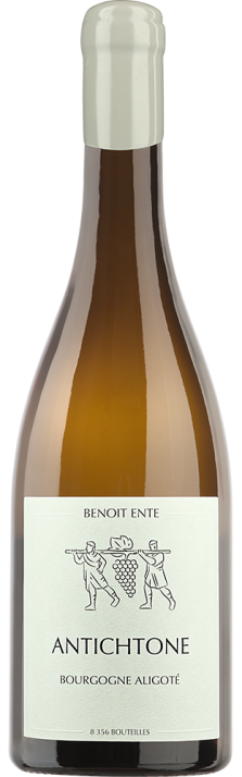 2023 Bourgogne Aligoté AOC Antichtone Benoît Ente 750