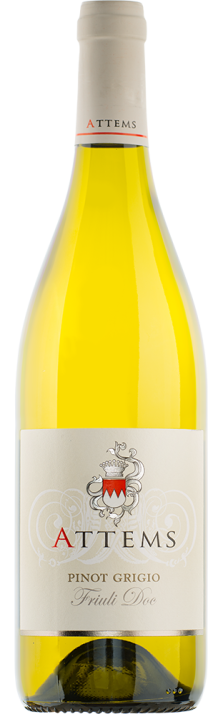 2022 Pinot Grigio Friuli DOC Conti Attems 750 2022 Pinot Grigio Friuli DOC Conti Attems 750