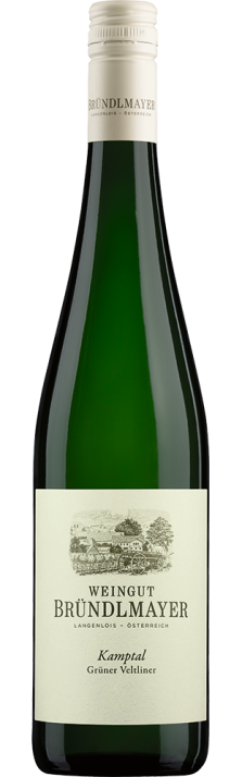 2024 Grüner Veltliner Kamptal DAC Selektion Mövenpick Weingut Bründlmayer 750