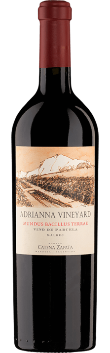 2011 Malbec Mundus Bacillus Terrae Adrianna Vineyard Mendoza Bodega Catena Zapata 750 2011 Malbec Mundus Bacillus Terrae Adrianna Vineyard Mendoza Bodega Catena Zapata 750
