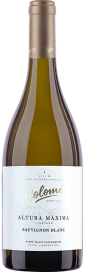 2022 Sauvignon Blanc Altura Máxima Valle Calchaquí Bodega Colomé 750