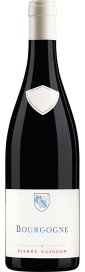 2021 Bourgogne Hautes-Côtes de Nuits AOC Domaine Les Astrelles 750